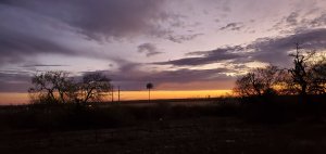 Dawn rising with bird house