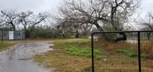 Rainy morning in the country
