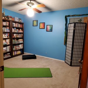 Bedroom conversion to fitness room