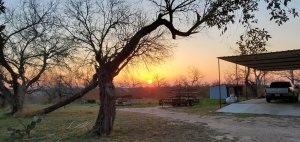 Sunrise, trees, and a truck under cover.