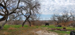 John Deere tractor in the distance, trees, and a cloudy sky.